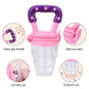 Baby Fresh Food Feeder